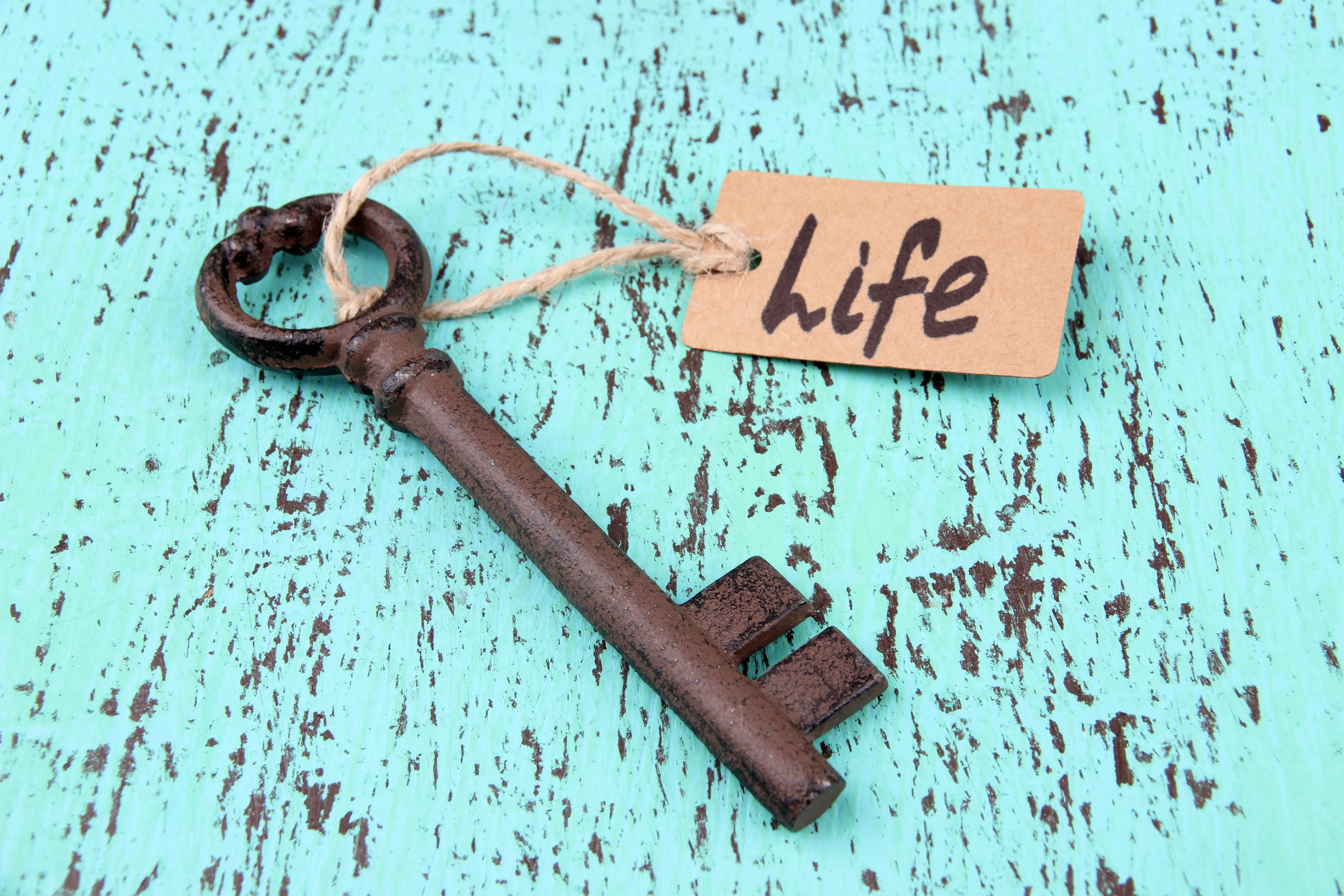 Life is a key