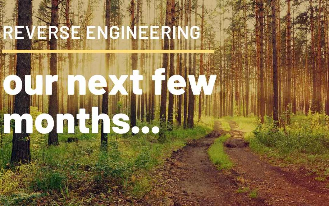 Reverse Engineering our next few months