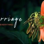 Coming Summer 2024 – Marriage: Navigating Everything
