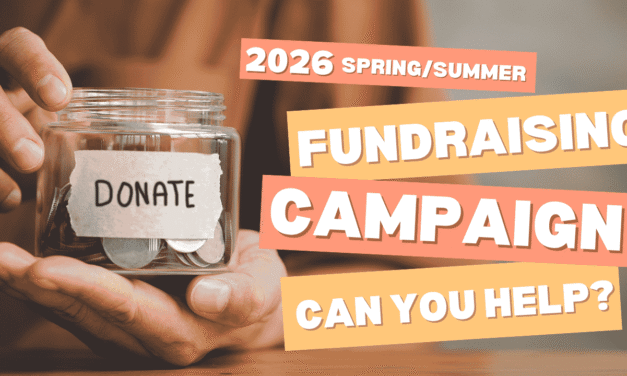 Fundraising Spring/Summer 2026 – Thanks for your support